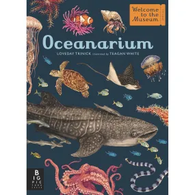 Oceanarium: Welcome to the Museum